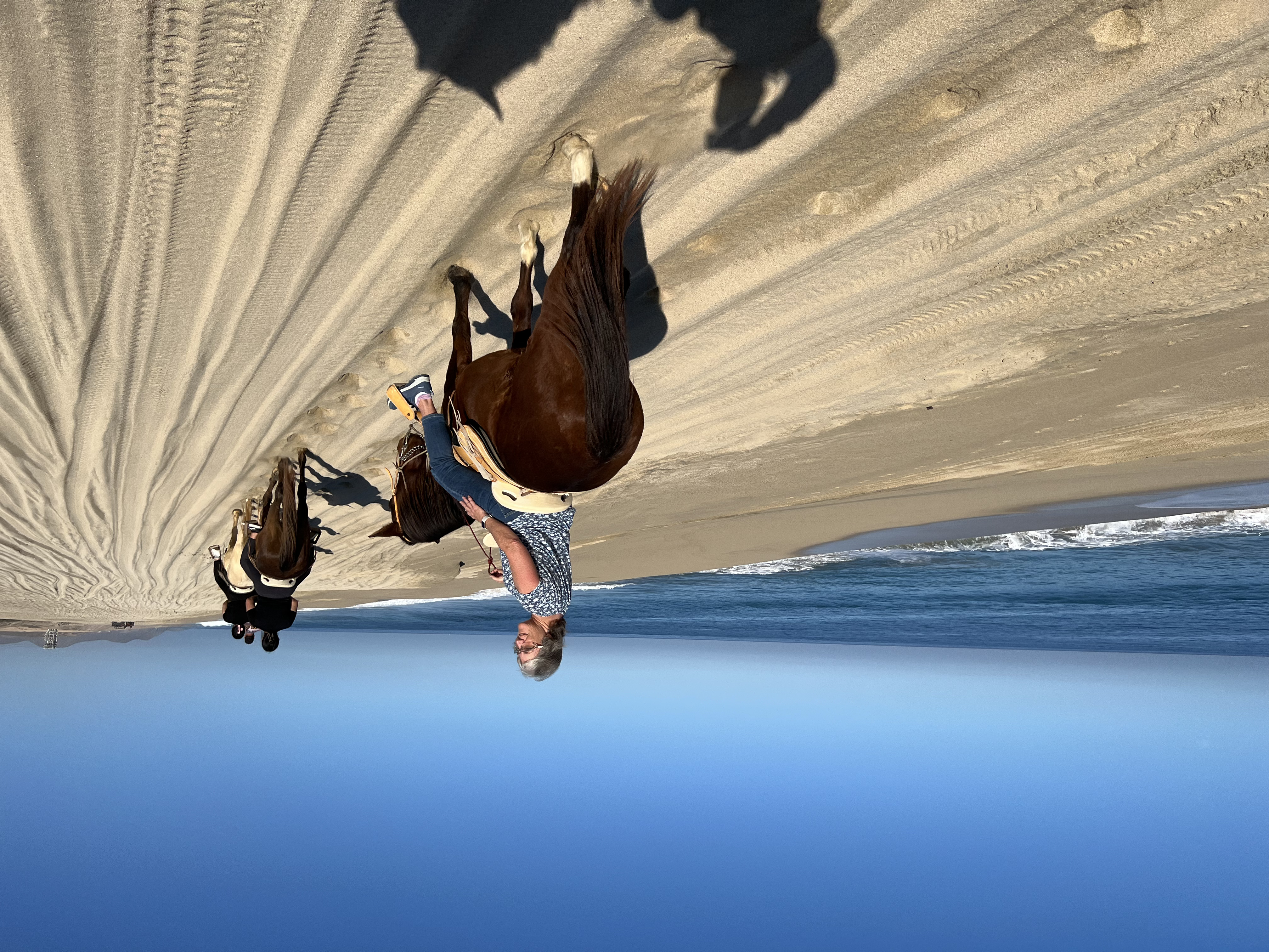 ./2024/13 - Cabo/IMG_4442.jpg